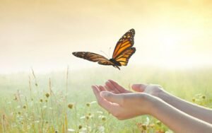 Histoire de la chenille et du papillon, pour les soins énergétiques Reiki