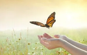 Histoire de la chenille et du papillon, pour les soins énergétiques Reiki